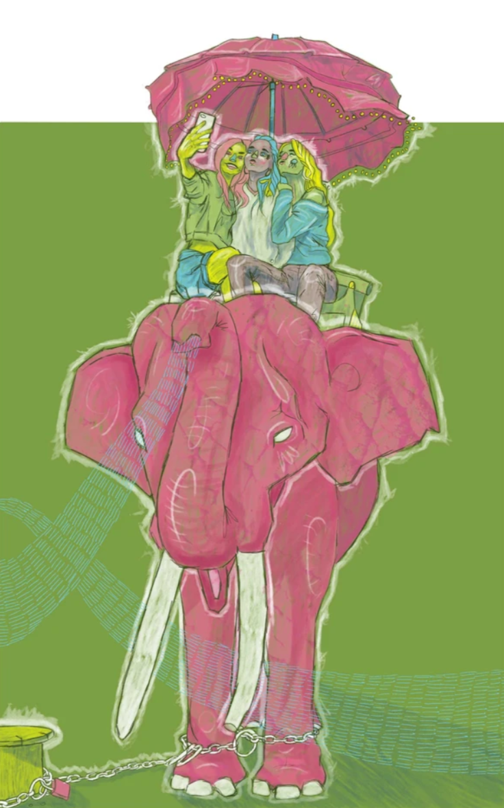 Bay Jemima digital illustration editorial artwork on elephants in tourism