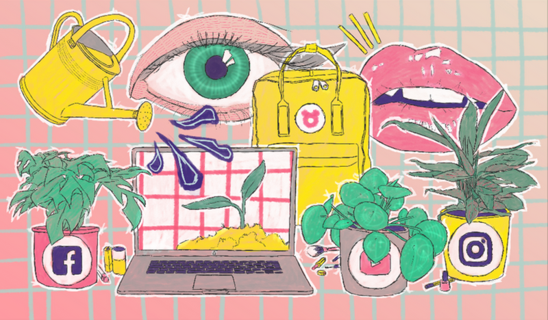 Bay Jemima digital illustration editorial artwork featuring houseplants